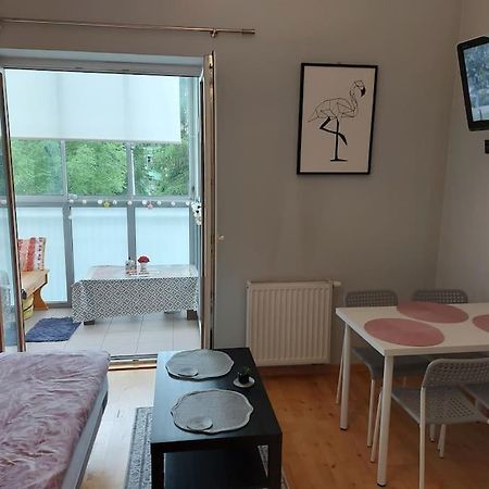 Homelyapartment Krasków Εξωτερικό φωτογραφία