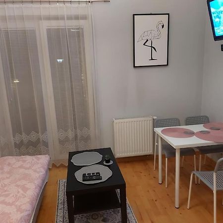 Homelyapartment Krasków Εξωτερικό φωτογραφία