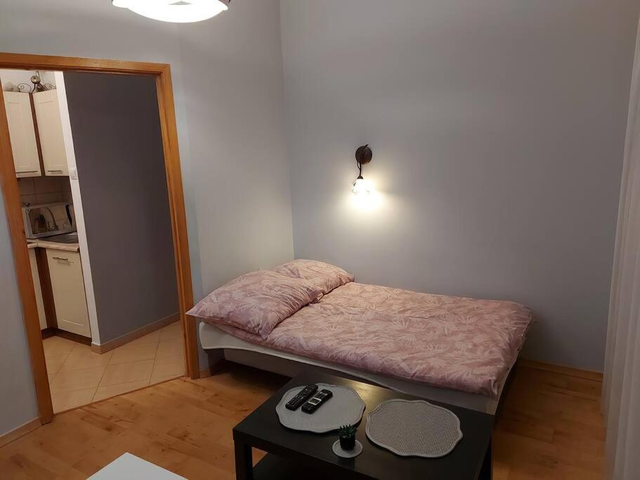 Homelyapartment Krasków Εξωτερικό φωτογραφία
