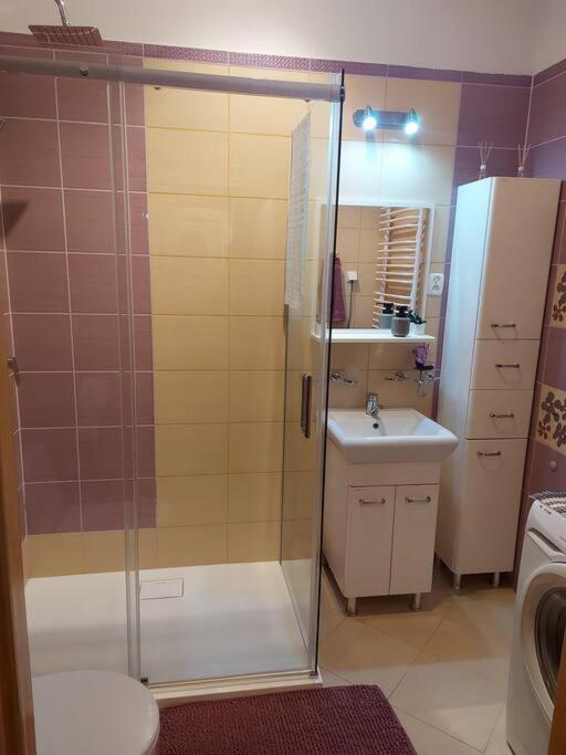 Homelyapartment Krasków Εξωτερικό φωτογραφία