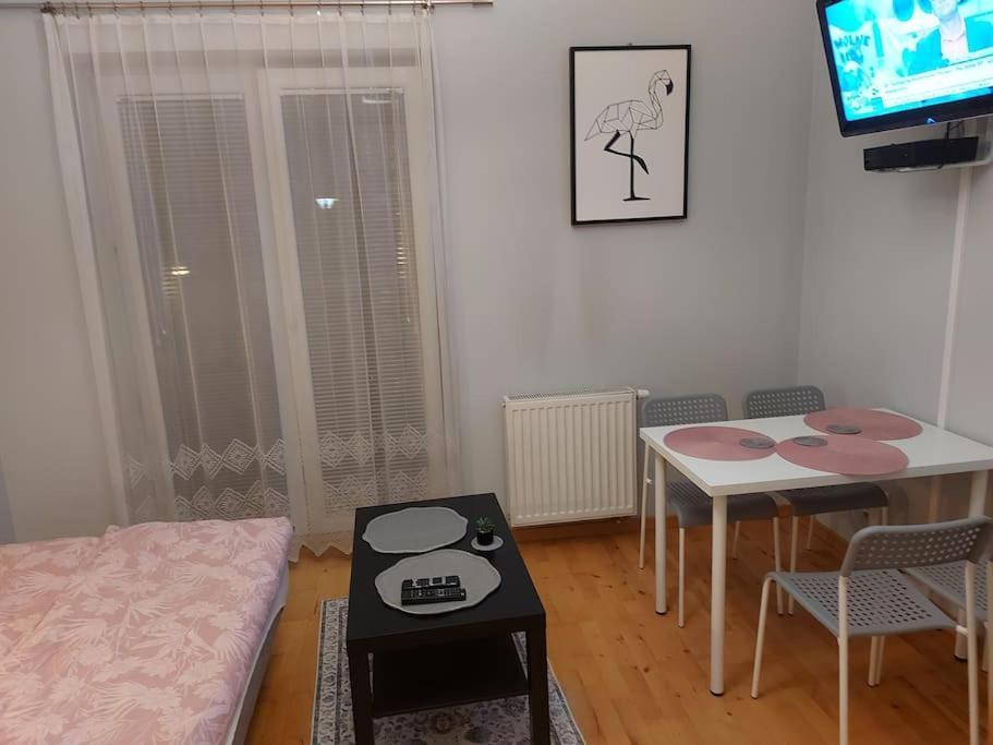 Homelyapartment Krasków Εξωτερικό φωτογραφία