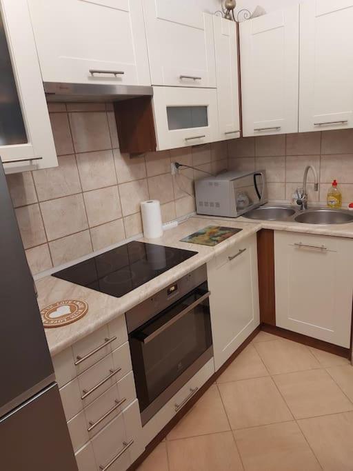 Homelyapartment Krasków Εξωτερικό φωτογραφία