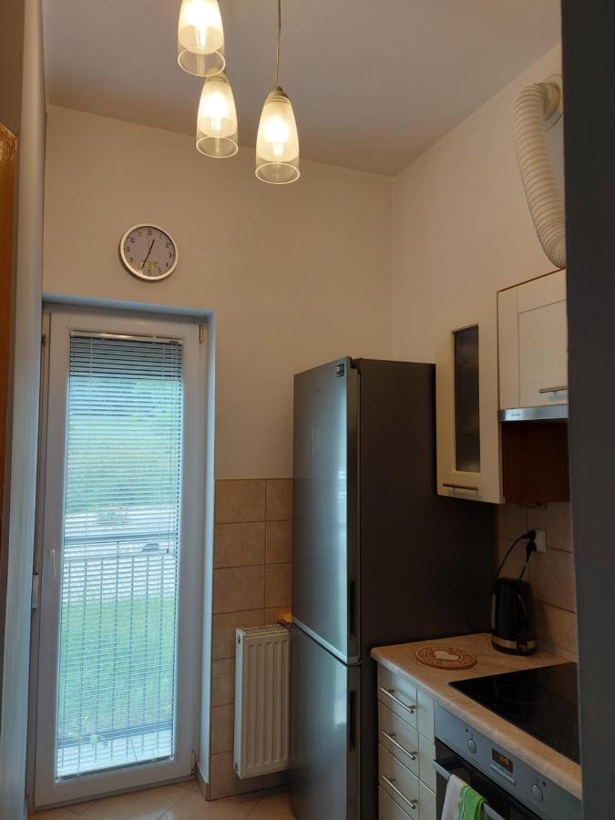 Homelyapartment Krasków Εξωτερικό φωτογραφία